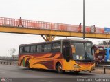 Empresa Peruana Pendiente 951