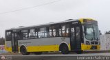 Per Bus Internacional - Corredor Amarillo 2019 Modasa Titn Corredor Agrale MA 17.0