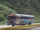 Transporte Colectivo Camag 10