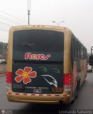 Transporte Flores Hermanos S.R.L (Per) 955