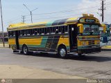 Colectivo San Rafael (El Moj�n) 17