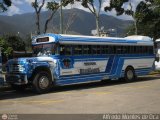 Transporte Colectivo Palo Negro 49, por Alfredo Montes de Oca