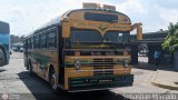 ZU - Colectivos Concepcin 065