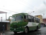 Particular 023