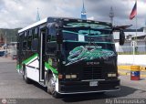 Transporte Virgen del Carmen 17, por Aly Baranauskas