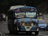 Transporte Colectivo Palo Negro 042