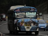 Transporte Colectivo Palo Negro 42