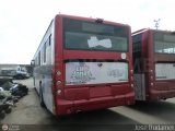 LA - TransGuaro T-0015
