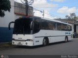 Ejecutivos Boga 24 por Alvin Rond�n
