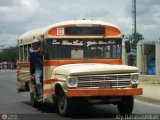 CA - Unin Conductores Maternidad del Sur 124 Blue Bird Mini Bird Ford B-350