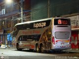 Expreso Internacional Virgen de Chapi 030 por Leonardo Saturno
