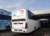 Expresos Pegamar 2121