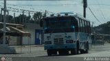 A.C. Mixta de Transporte Tchira Mrida R.L. 0015, por Pablo Acevedo