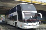 Expresos Occidente 116