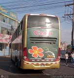 Cetur S.R.L. 955