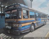 Transporte Interestadal Tica 17 Encava Culebra Ciega Encava Cummins Grande