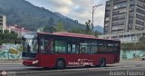 Trolmerida - Tromerca MER-994