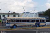 Transporte Guacara 0006