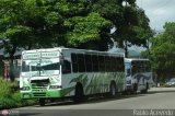 Expresos Delicias 44