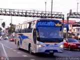 E.T. Maleo VIP (Per) 953A