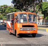 DC - Cooperativa de Transporte Pasajeros del Sur 199