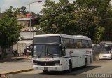 Aerobuses de Venezuela 100, por Oliver Castillo