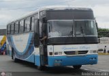 Ejecutivos Boga 28