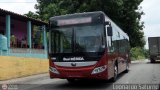 Bus Mrida 17