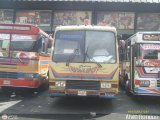 Transporte Unido 015 Unicar Arosa - Euro 80 Pegaso 5035