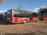 Bus Tchira