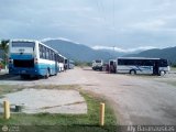 Garajes Paradas y Terminales Puerto-Cabello, por Aly Baranauskas