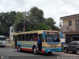 CA - Autobuses de Santa Rosa 12, por Aly Baranauskas