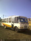 Transporte Perozo