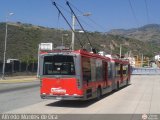 Trolmerida - Tromerca 38