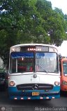 Particular 197 Mercedes-Benz Integral O-317 Mercedes-Benz O-355