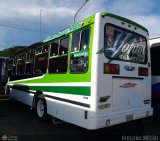 A.C. Rmulo Gallegos 31