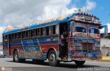 Transporte Palo Negro La Morita 2 099