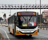 E.T. Urbano Lnea 4 S.A. (Per) 310