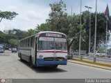 DC - Colectivos Solven 025