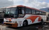 Expresos Sol y Mar 023 por Alvin Rond�n