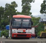 Transporte Carache 01, por Waldir Mata