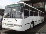 Particular E=3300