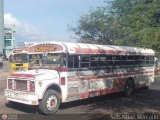 Colectivos Cachiri 43