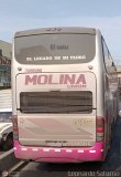 Turismo Molina Unin S.A.C. (Per) 957