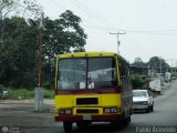 Colectivos El Viga 50 Carrocera Alkon Clsico Ford B-350