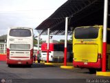 Garajes Paradas y Terminales Carupano