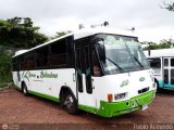 Expresos Bolivarianos 20 Pjaro Azl lite Chevrolet CHR580