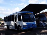 A.C. Transporte Paez 087