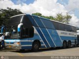 Expresos Amerlujo 407