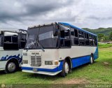 Ruta Urbana de Maturn-MO JS-993